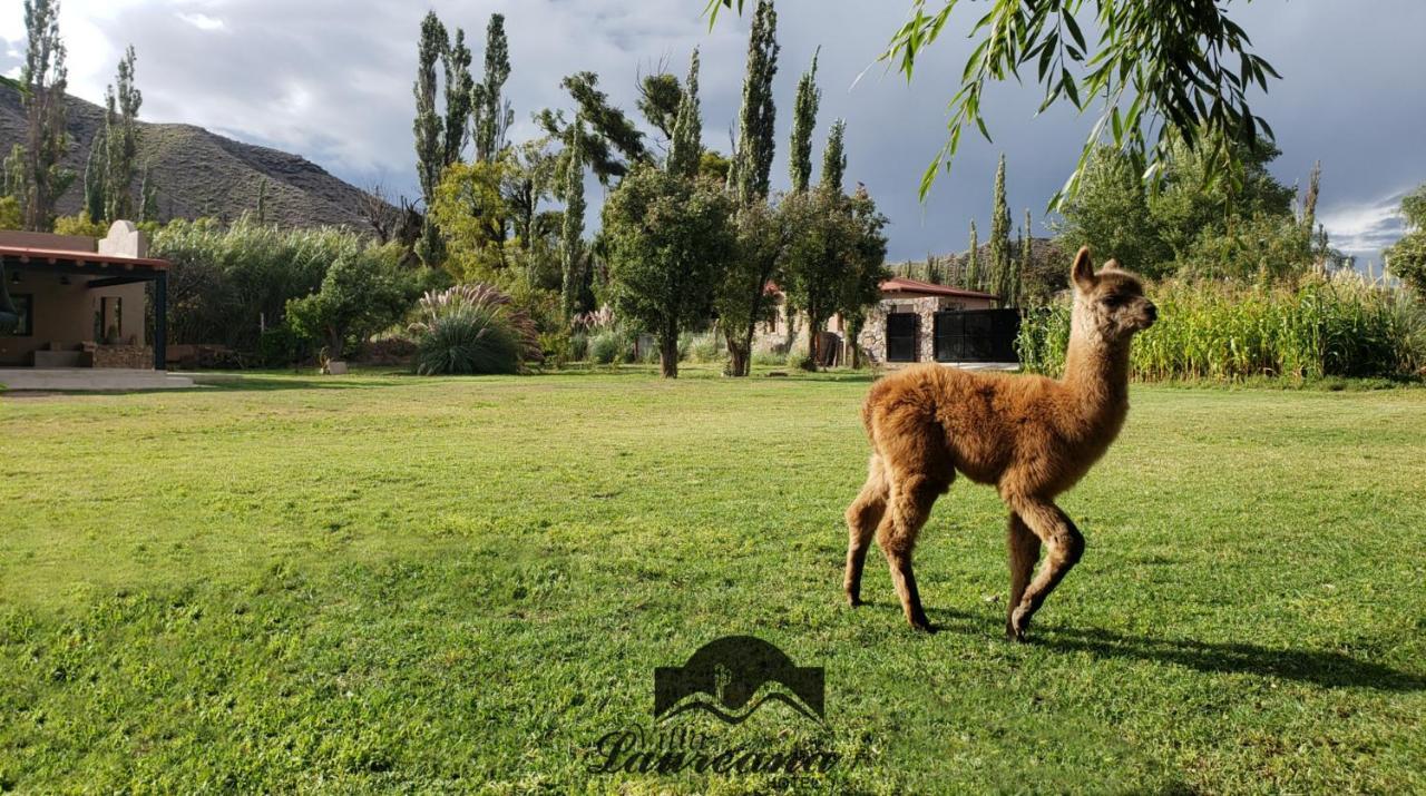 Villa Laureana ウアカレラ エクステリア 写真
